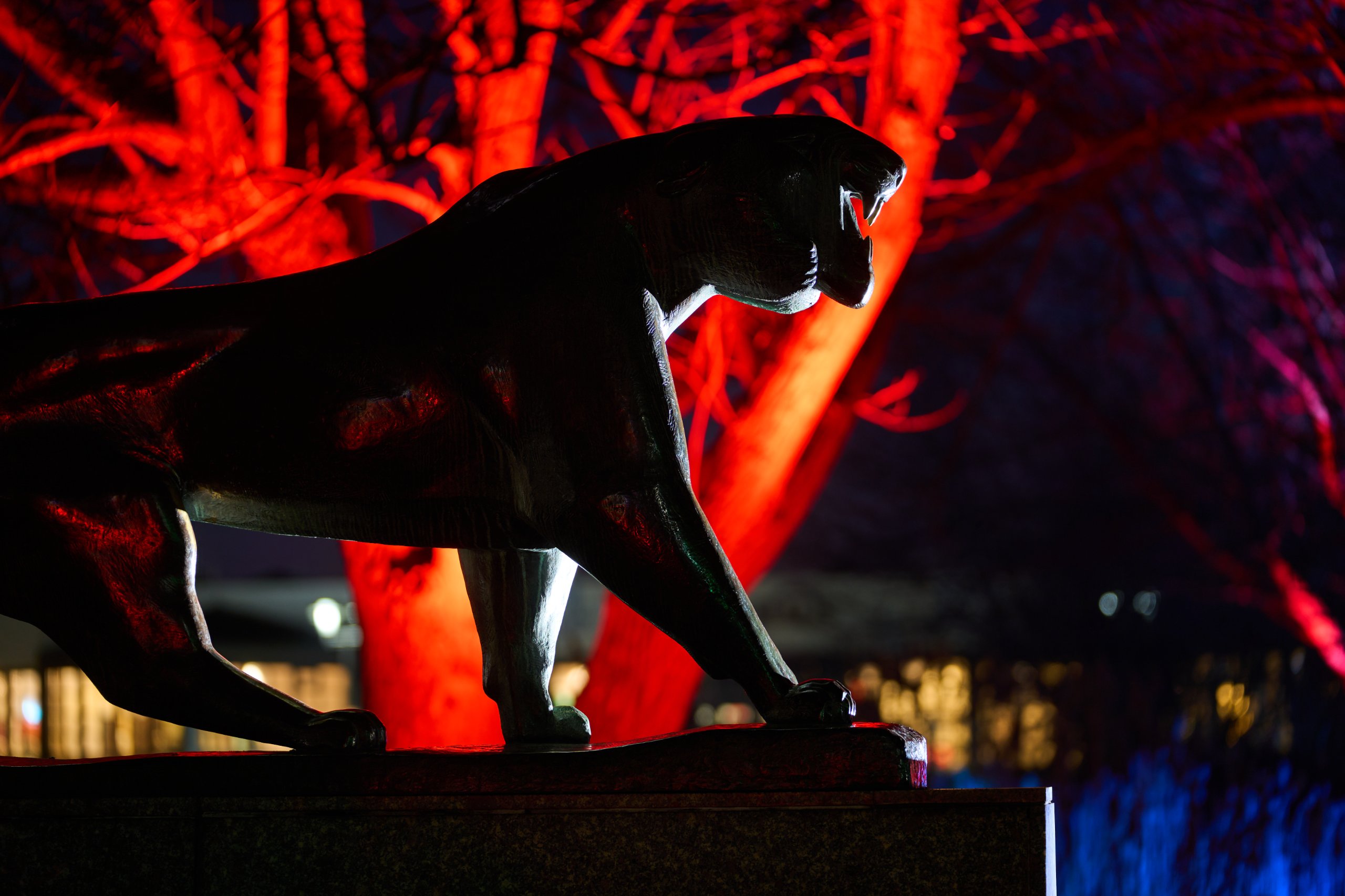 2025 02 04 Parkleuchten 0002